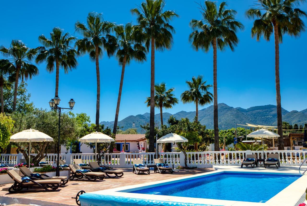 The Palms Boutique Malaga - Adults Only Bed & Breakfast